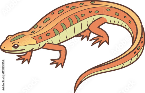 lizard on white background