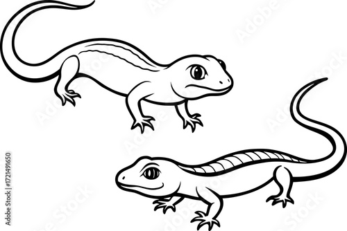 vector illustration of a cartoon lizard