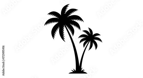 palm tree vector illustration