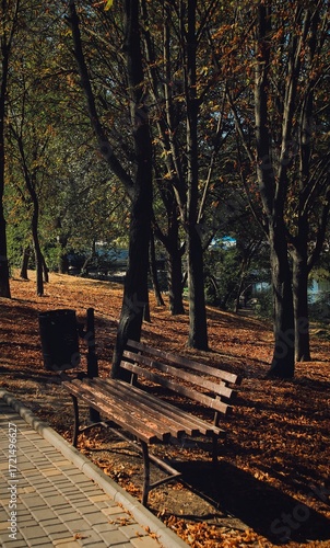 bench in autumn park