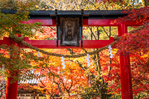 Foto A traditional vermilion torii gate at Kuwayama Shrine, framed by vibrant red autumn maple foliage