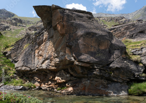 Natural variety found in an Alpine valley. Europe. They were mainly taken in the Gran Paradiso valley, Italy. They were taken during a 7-day hike. From 1800 to 3100 meters altitude. 