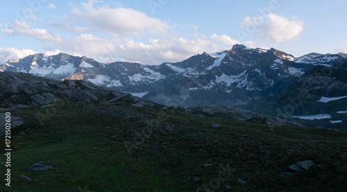 Natural variety found in an Alpine valley. Europe.
They were mainly taken in the Gran Paradiso valley, Italy. They were taken during a 7-day hike. From 1800 to 3100 meters altitude. 