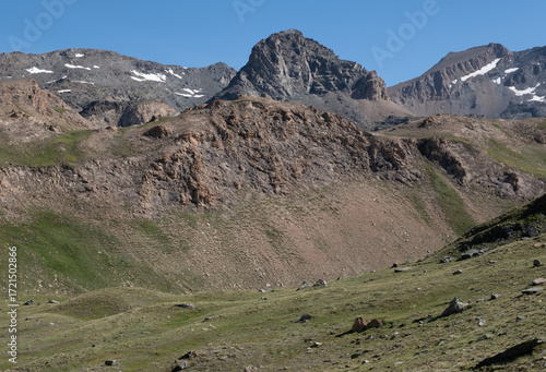 Natural variety found in an Alpine valley. Europe. They were mainly taken in the Gran Paradiso valley, Italy. They were taken during a 7-day hike. From 1800 to 3100 meters altitude. 