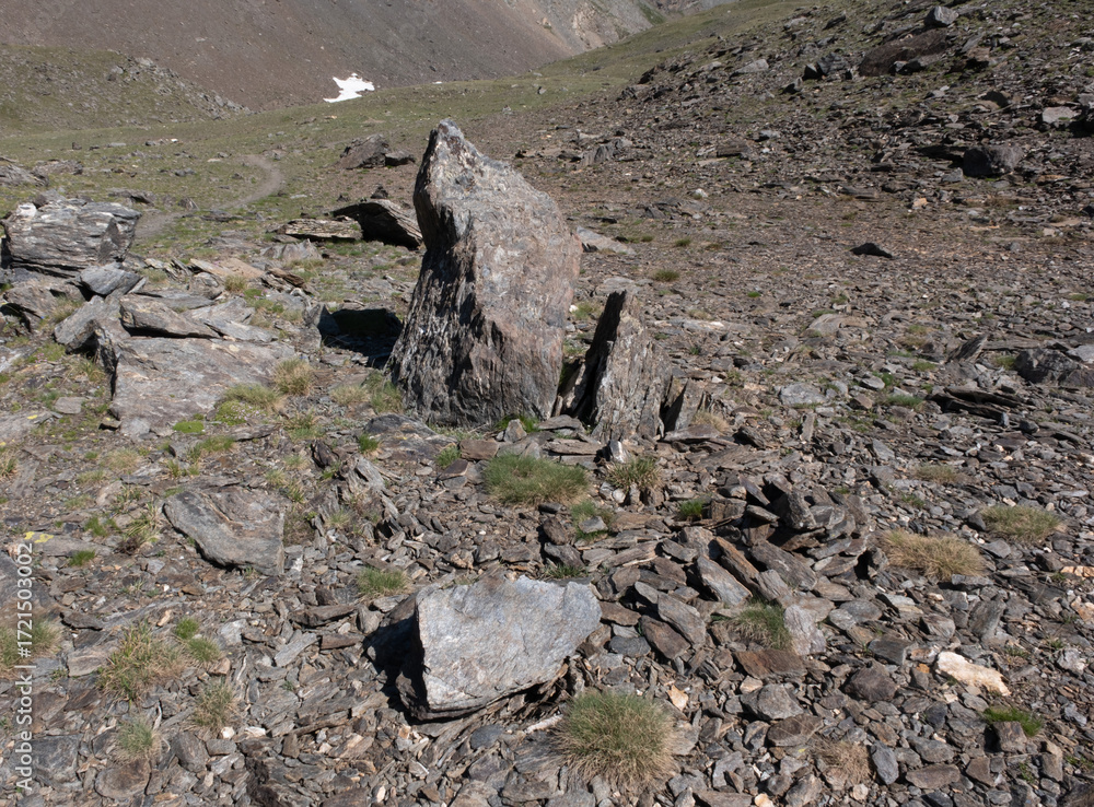 Fototapeta premium Natural variety found in an Alpine valley. Europe. They were mainly taken in the Gran Paradiso valley, Italy. They were taken during a 7-day hike. From 1800 to 3100 meters altitude. 