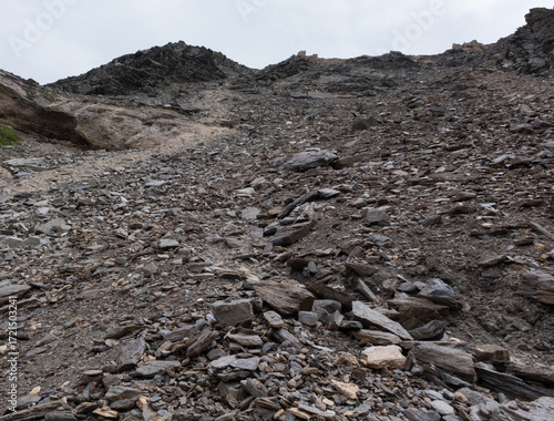Natural variety found in an Alpine valley. Europe. They were mainly taken in the Gran Paradiso valley, Italy. They were taken during a 7-day hike. From 1800 to 3100 meters altitude. 
