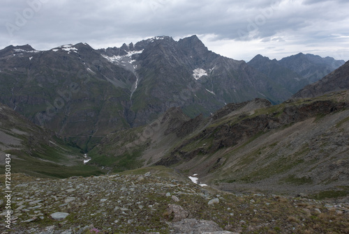 Natural variety found in an Alpine valley. Europe. They were mainly taken in the Gran Paradiso valley, Italy. They were taken during a 7-day hike. From 1800 to 3100 meters altitude. 