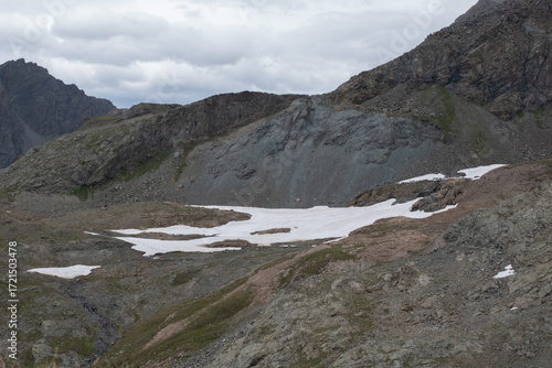 Natural variety found in an Alpine valley. Europe. They were mainly taken in the Gran Paradiso valley, Italy. They were taken during a 7-day hike. From 1800 to 3100 meters altitude. 