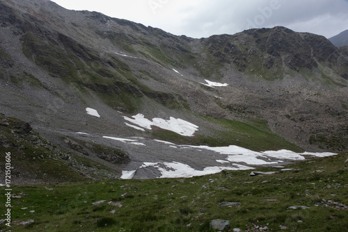 Natural variety found in an Alpine valley. Europe. They were mainly taken in the Gran Paradiso valley, Italy. They were taken during a 7-day hike. From 1800 to 3100 meters altitude. 
