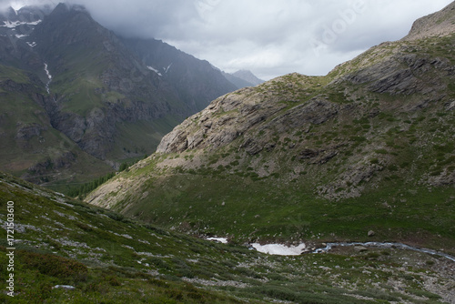 Natural variety found in an Alpine valley. Europe. They were mainly taken in the Gran Paradiso valley, Italy. They were taken during a 7-day hike. From 1800 to 3100 meters altitude. 