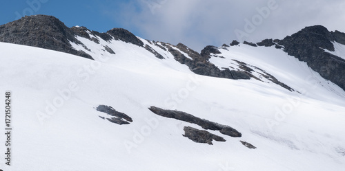 Natural variety found in an Alpine valley. Europe. They were mainly taken in the Gran Paradiso valley, Italy. They were taken during a 7-day hike. From 1800 to 3100 meters altitude. 