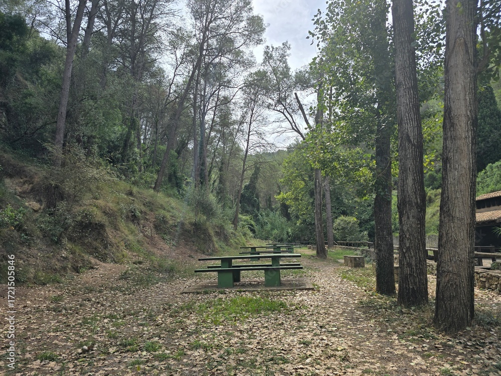 Fototapeta premium Área de picnic en medio del bosque con mesas de madera y naturaleza