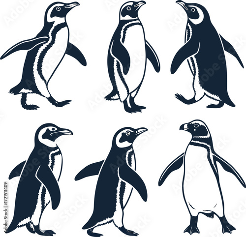 Six dark blue penguins in silhouette on white background