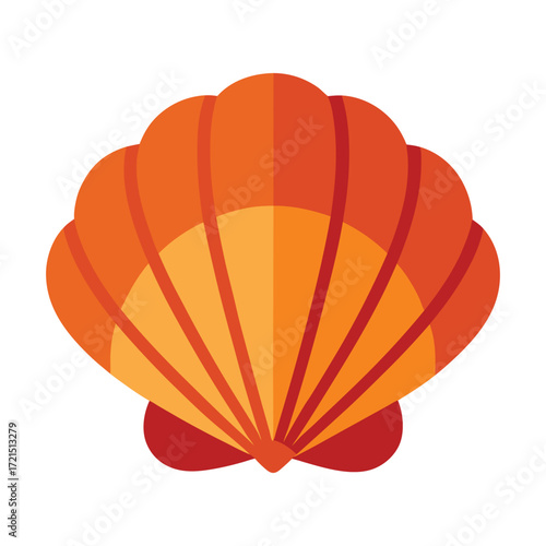 cockle shell vector illustration