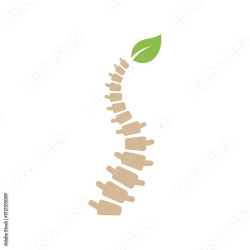 A stylized human spine with a vibrant green leaf at its apex beautifully symbolizes natural health, holistic wellness, and organic chiropractic care.