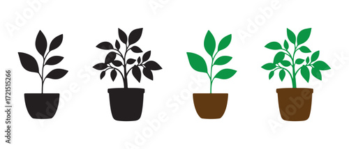 Potted plant silhouettes. and color variations isolated on white background.