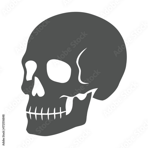A gray skull with white eye sockets and teeth on a white background in a simple graphic style