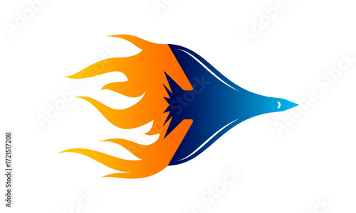 Jet plane with fire illustration design vector
