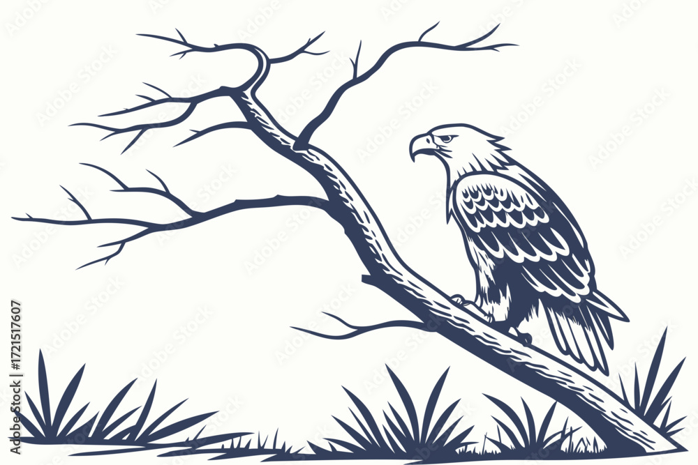 Fototapeta premium Detailed Hand-Drawn Bald Eagle and Tree Illustration
