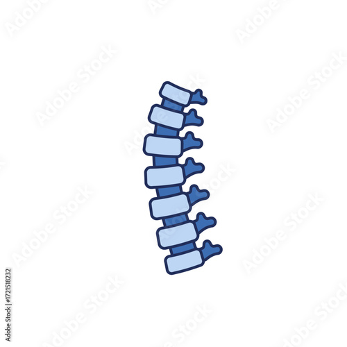 A simplified blue human spine illustration depicting the vertebral column and its individual segments, useful for medical education and health-related content.