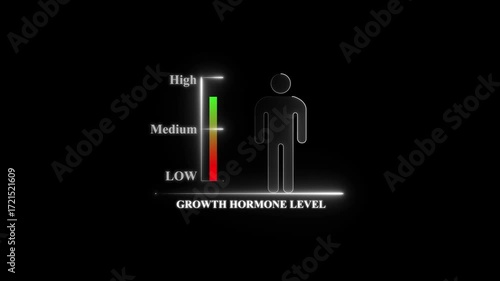 Growth Hormone Level Chart With Male Figure graph