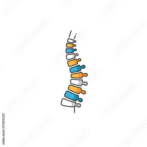 A vibrant, stylized illustration showcasing the human spinal column's intricate structure and natural curvature, ideal for health and medical educational resources.