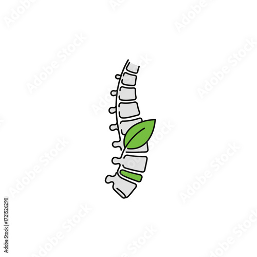 A clear illustration of a spinal column with a green leaf, promoting natural healing, wellness, and chiropractic care for back health.