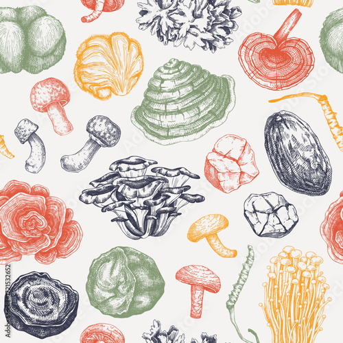 Medicinal mushroom seamless pattern. Alternative medicine background. Hand drawn vector illustration. Healing fungi sketches. NOT AI generated