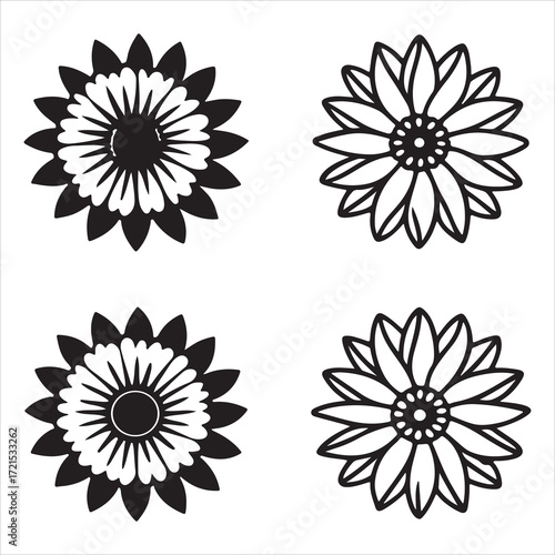 A Vibrant and Hardy Blanket Flower, a Resilient Native Daisy like Bloom of the Gaillardia Family, a Colorful Summer Perennial Symbolizing Joy