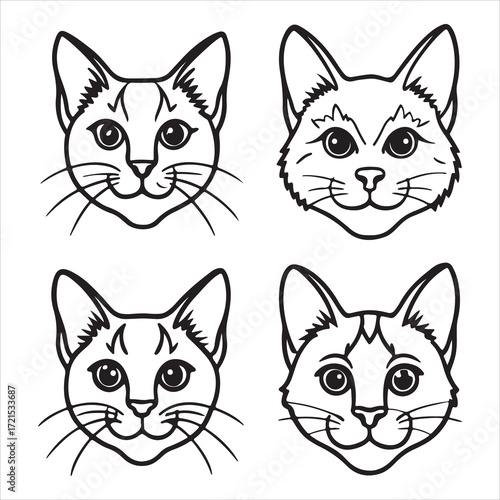 A Calm and Gentle Chartreux Cat, a Loyal French Companion with a Beautiful Bluecoat, a Robust Body, and a Distinctive Smiling Cat Expression