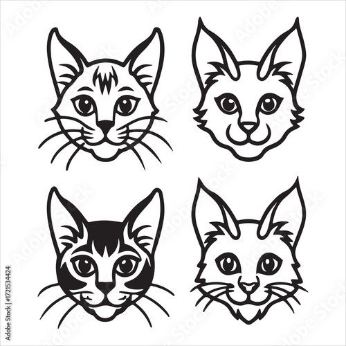 A Playful and Intelligent Somali Cat, a Graceful Foxlike Feline Breed with a Beautiful Ticked Coat, Longhaired Plumage, and an Agile Body