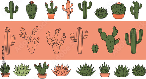 Collection of various desert plants including cacti and succulents, , handdrawn illustration with a playful and organic feel, perfect for graphic design and decorative purposes