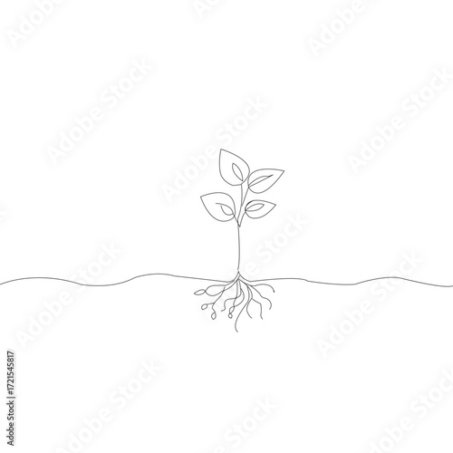 A plant on a white background that has a plant growing out of it