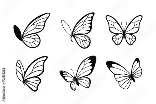 set of delicate butterfly wing ornament vector