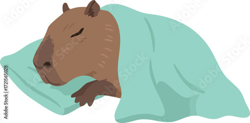 Capybara sleeping peacefully under blue blanket with pillow cozy resting calm vector illustration