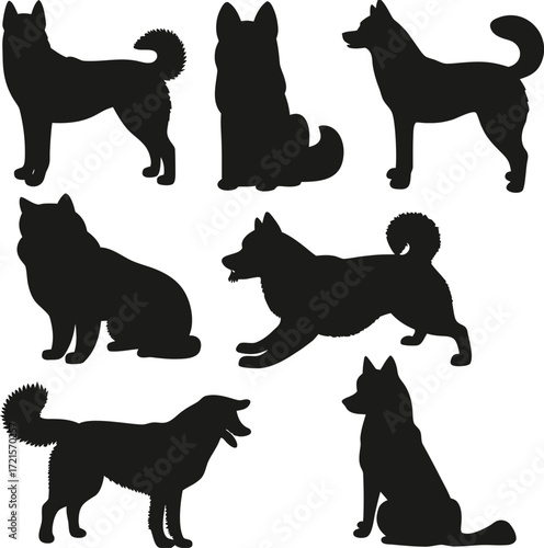 Black silhouettes of huskies in various poses husky