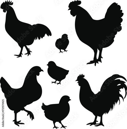Black silhouettes of roosters hens and chicks chicken