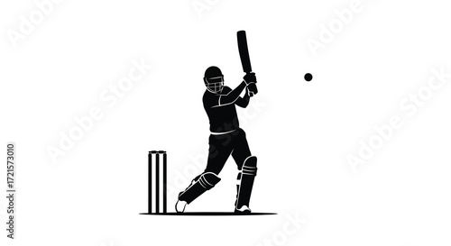 Silhouette of a cricket batsman preparing to hit a ball
