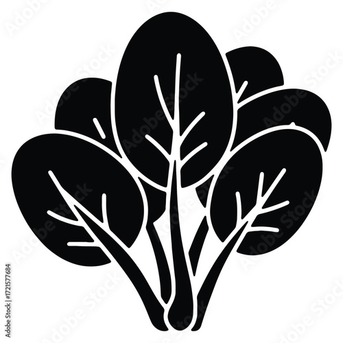 Black and white vector illustration of fresh spinach leaves bunch