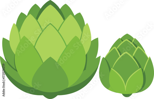 Scalable vector artichoke illustration whole and halved for eps design elements