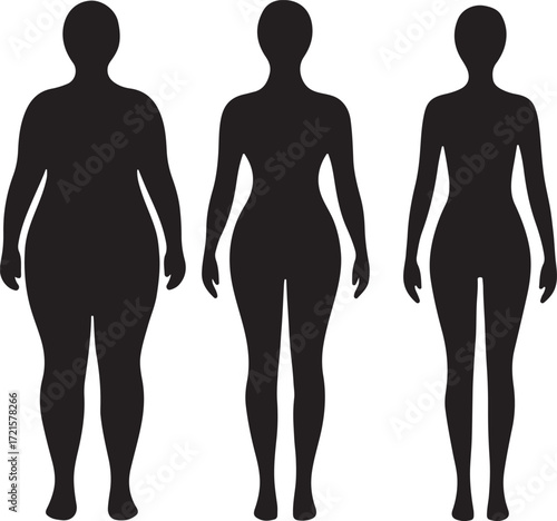 Female Body Types Silhouette Vector Illustration 
