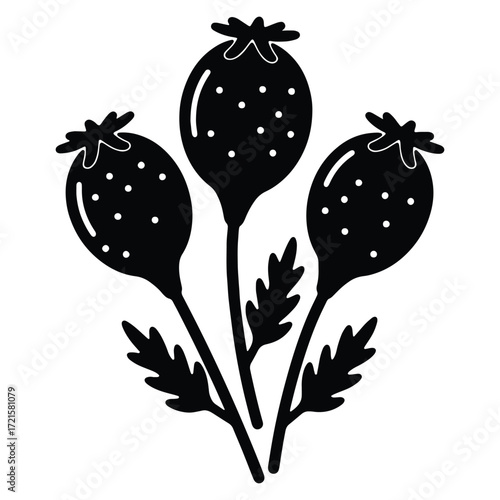 Elegant Poppy Seed Heads Illustration Black and White Botanical Design