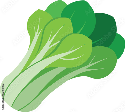 Fresh bok choy vegetable illustration vector icon scalable for graphic design projects