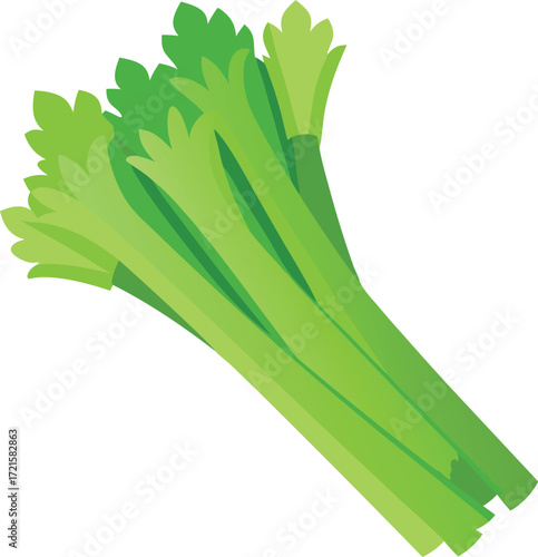 Fresh green celery stalks bundle vector illustration scalable healthy vegetable icon eps