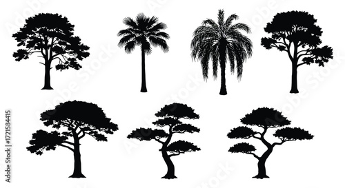 Silhouette collection of diverse tropical and deciduous trees against white background