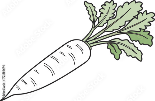 Vector illustration of a long white daikon radish with green leaves scalable eps icon