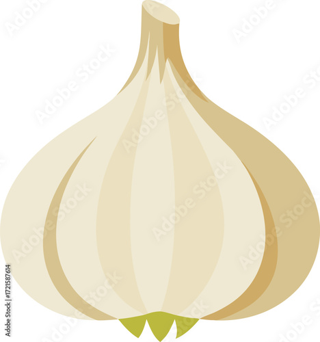 Scalable vector illustration of a garlic bulb with separated cloves food icon eps