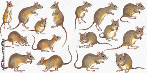 An extensive collection of watercolor-style illustrations showcasing numerous brown and tan rodents in diverse naturalistic postures.