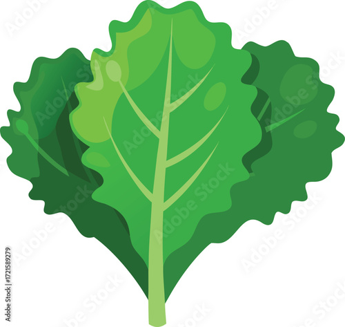 Realistic vector illustration of vibrant green kale leaves with detailed curly edges