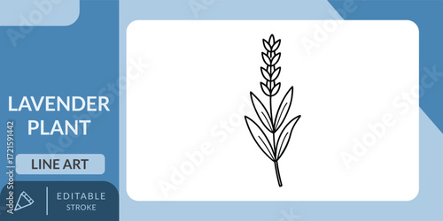 A simple and elegant vector line art icon of a lavender plant, perfect for nature, floral, and wellness-related designs.